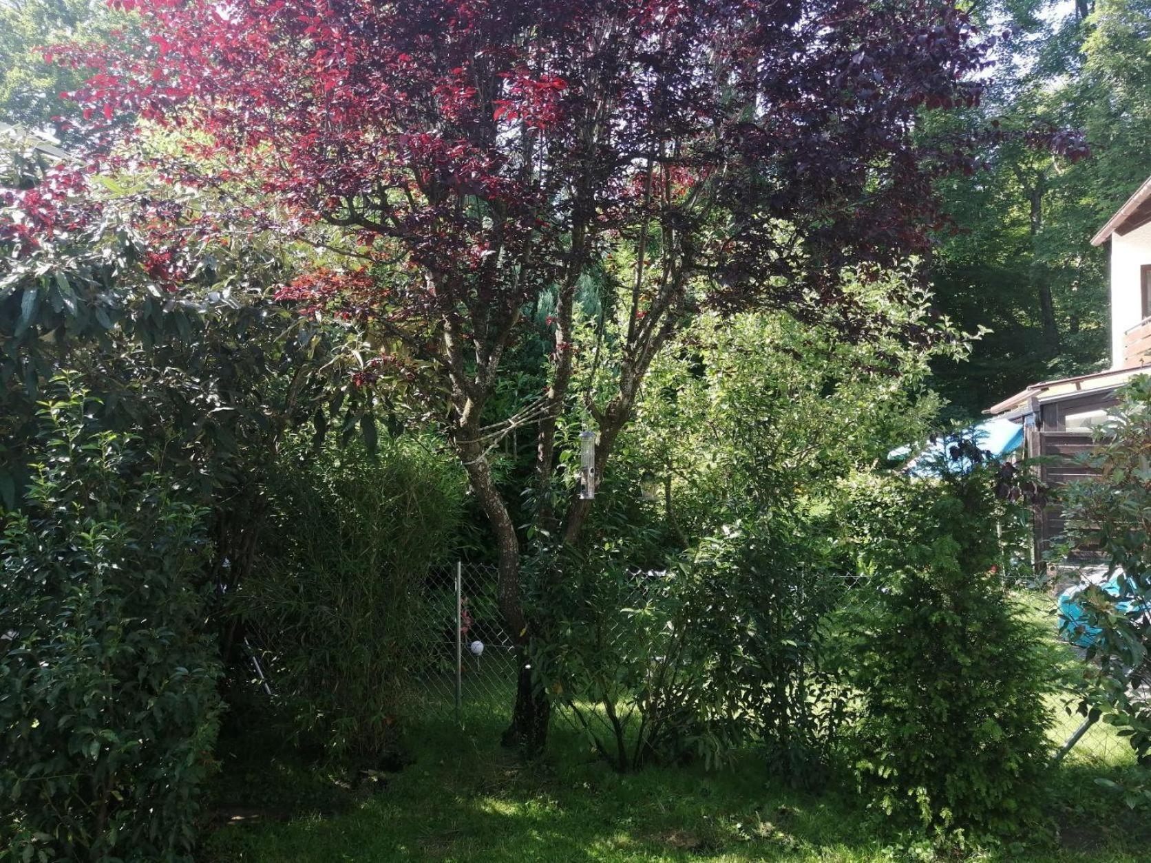 Elegantes Reihenhaus, 700 m vom See, zentral, wie neu, ruhig, grün, Kinder mindestens 6 a alt Starnberg Exterior foto